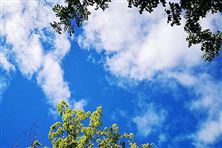 迎“藍(lán)”而上！直擊攀枝花、德陽、內(nèi)江大氣攻堅現(xiàn)場